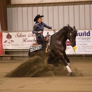 Meet your Posher, Sam